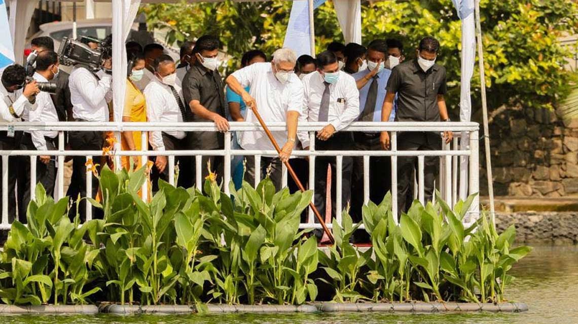 Ecological-floating-islands--to-purify-Beira-Lake