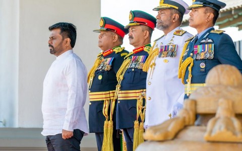 d-defence